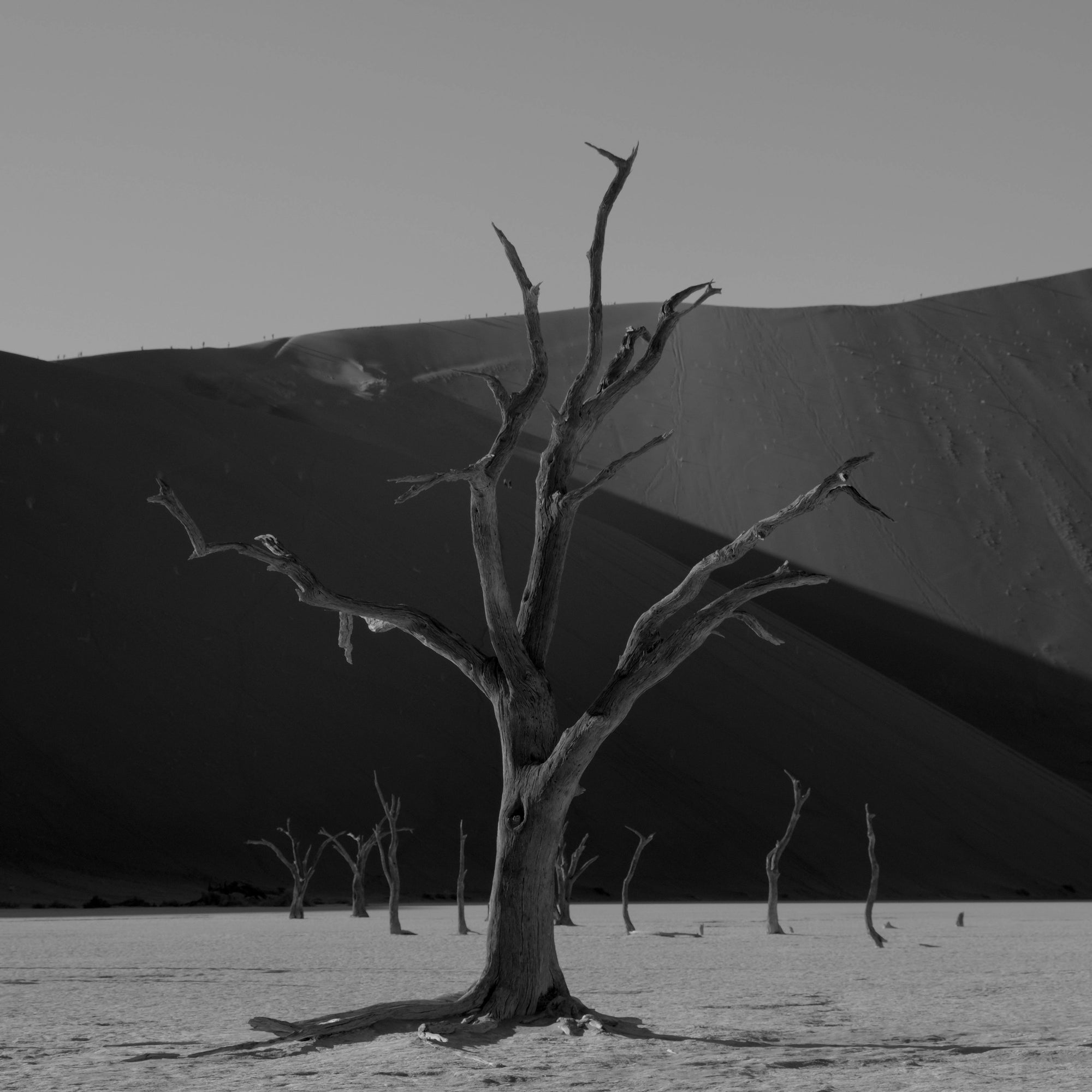 CURATED PLAYLISTS inspired by contemporary african art