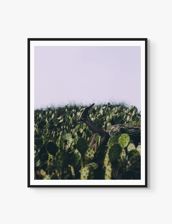 Discomfort Zone II